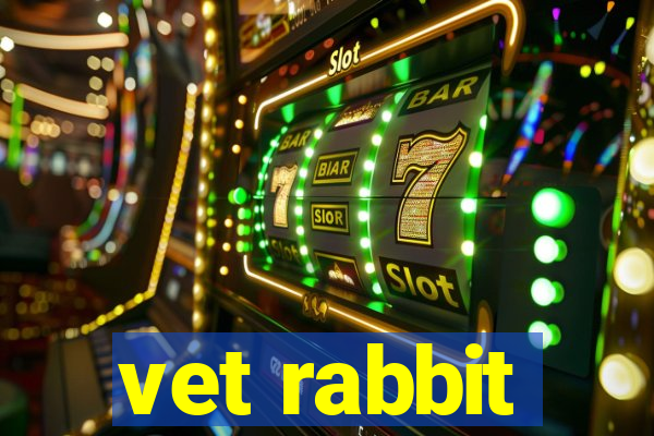 vet rabbit